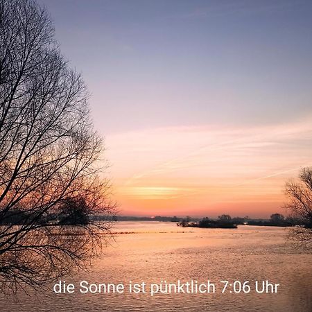Zur Nachtigall Damnatz ภายนอก รูปภาพ